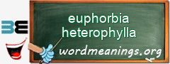 WordMeaning blackboard for euphorbia heterophylla